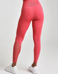 Mesh Panel Legging